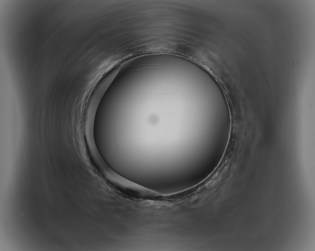 X0000088230193200705221832