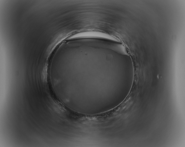 X0000088230194200705221832