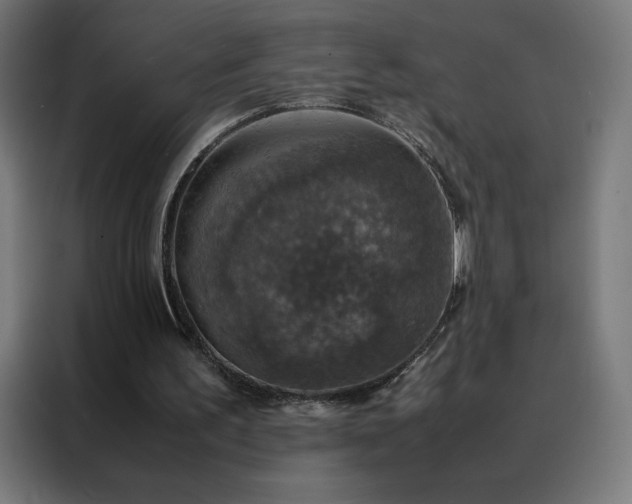 X0000088230195200705221832