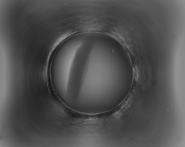 X0000088230196200705221832