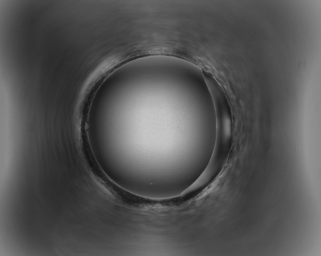 X0000088230197200705221832