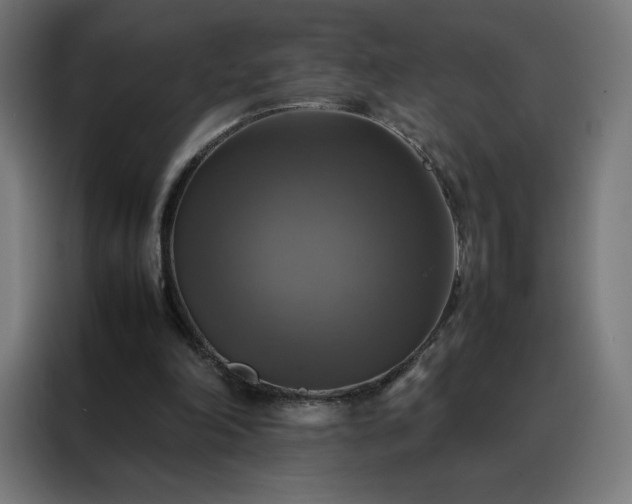 X0000088230198200705221832
