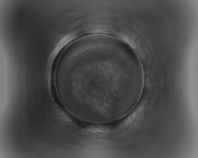 X0000088230199200705221831