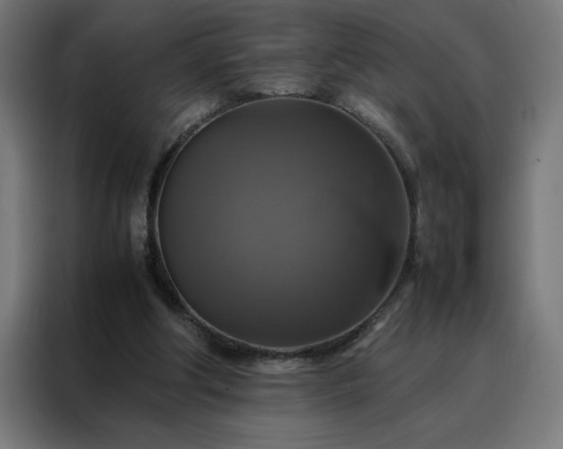 X0000088230202200705221831