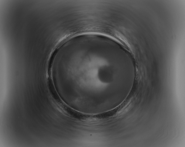 X0000088230203200705221831