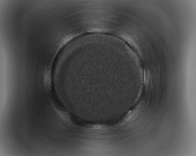 X0000088230204200705221831