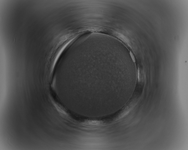 X0000088230205200705221831