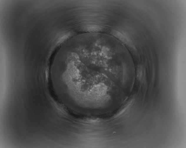 X0000088230206200705221831