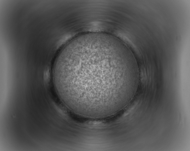 X0000088230208200705221831