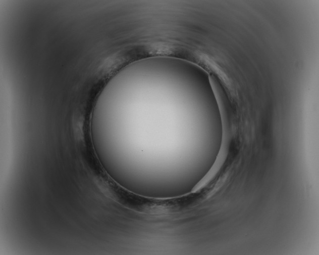 X0000088230209200705221831