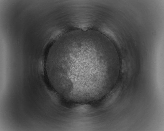 X0000088230210200705221831