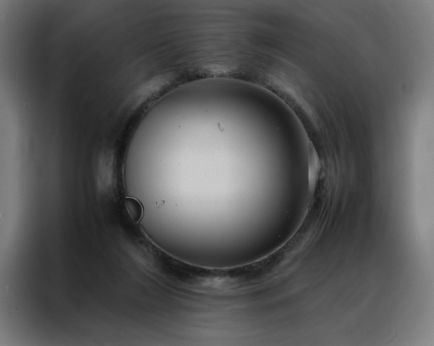 X0000088230212200705221831