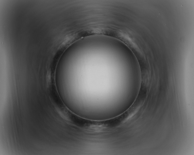 X0000088230213200705221831