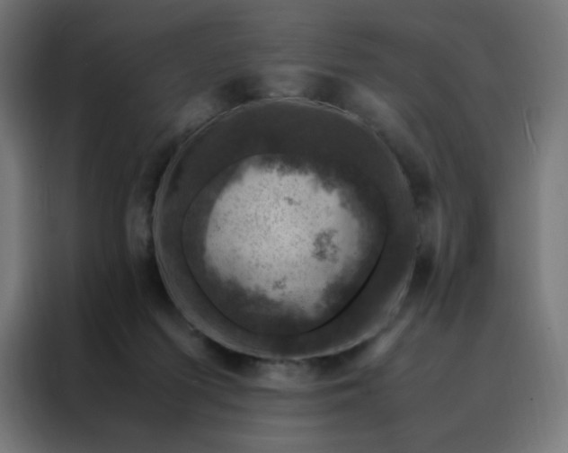 X0000088230215200705221831