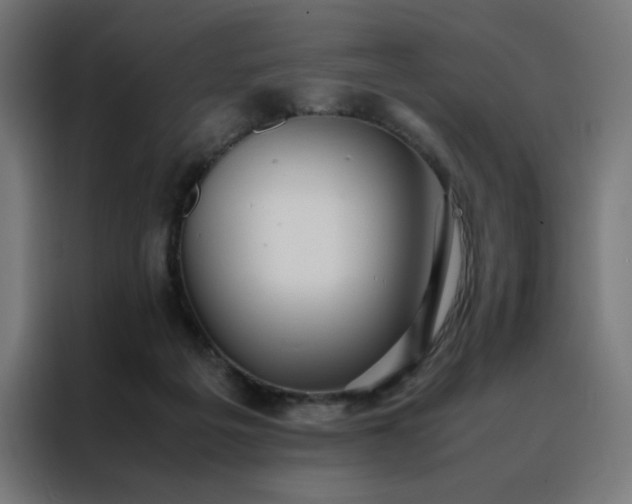 X0000088230217200705221831