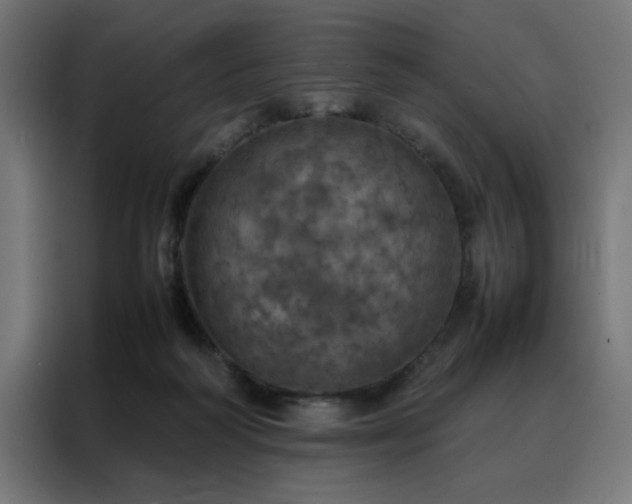 X0000088230218200705221831