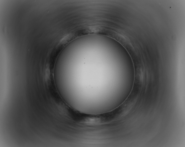 X0000088230220200705221831