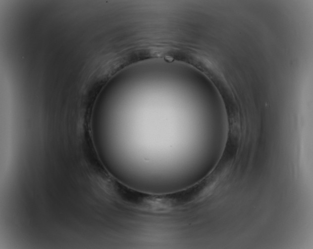 X0000088230221200705221831