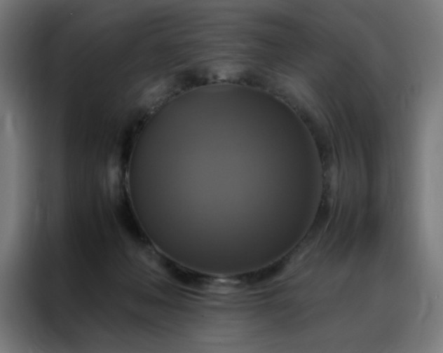 X0000088230222200705221831