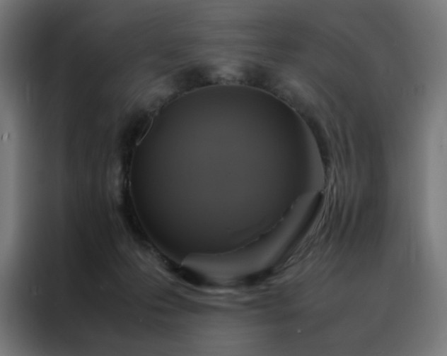 X0000088230223200705221831