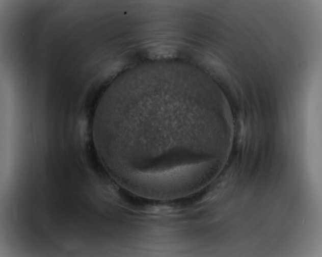 X0000088230224200705221831