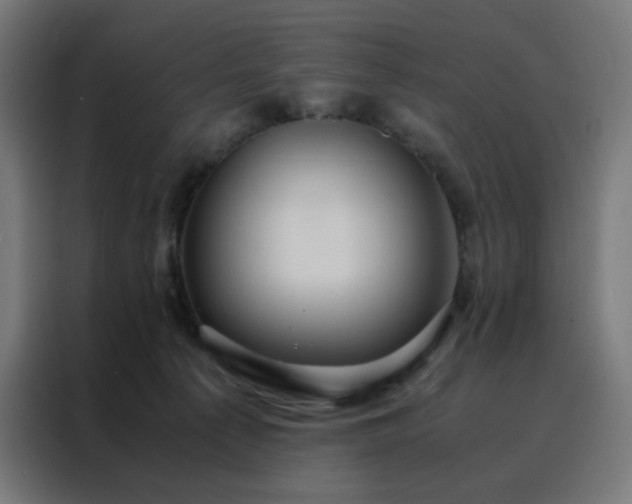 X0000088230225200705221831