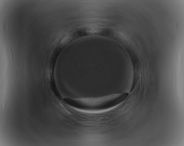 X0000088230227200705221831