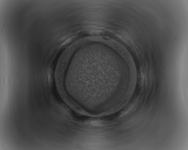 X0000088230228200705221831