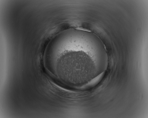 X0000088230229200705221831