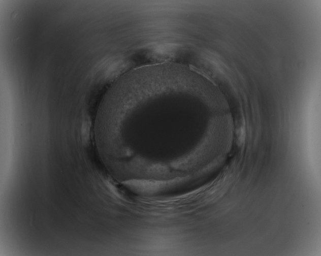 X0000088230231200705221831