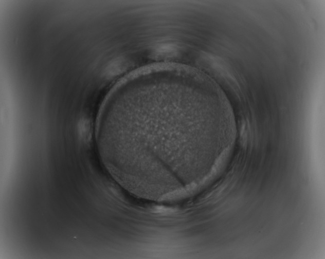 X0000088230232200705221831
