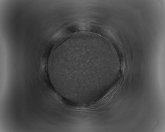 X0000088230233200705221831