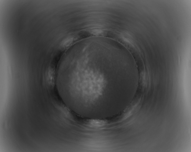 X0000088230234200705221831
