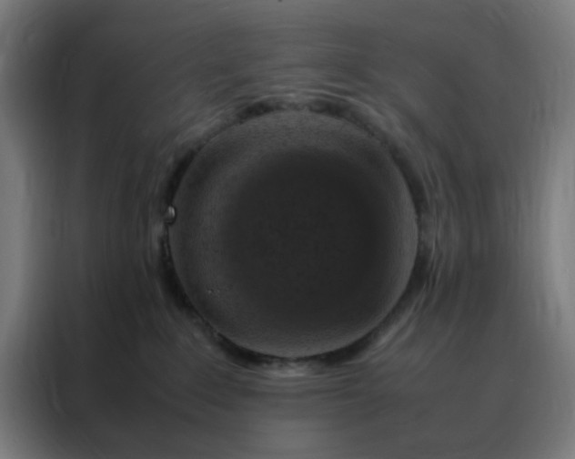 X0000088230235200705221831