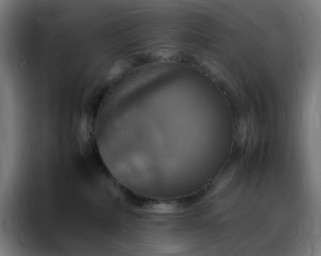 X0000088230236200705221831