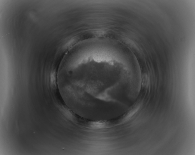 X0000088230238200705221831