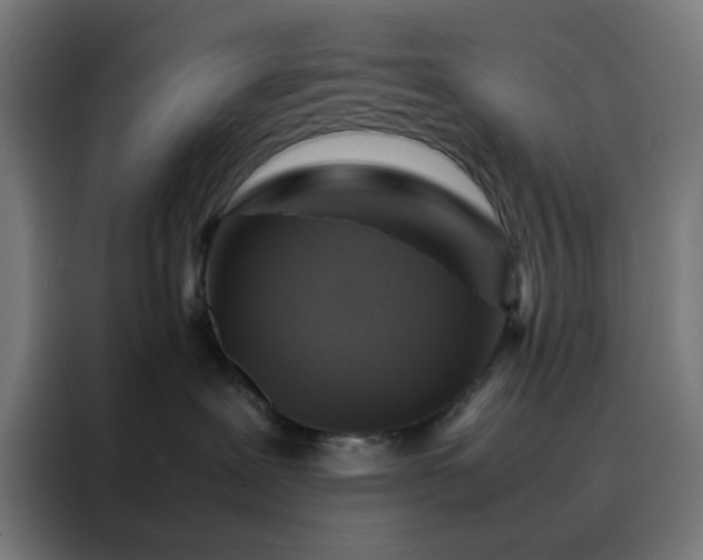 X0000088230239200705221831
