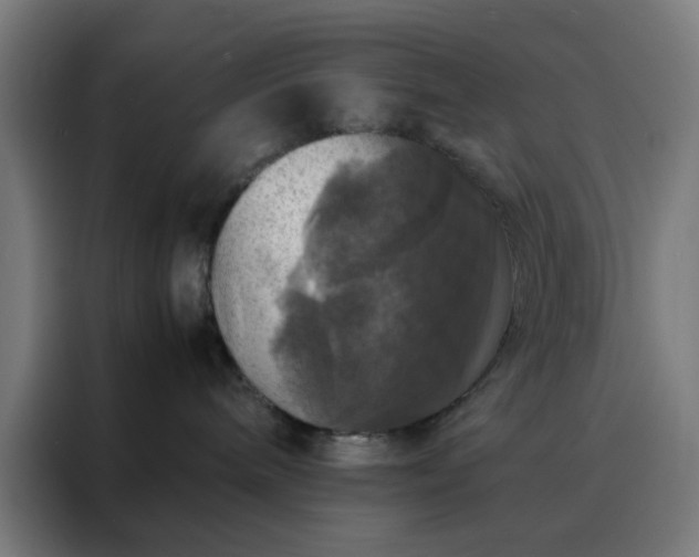 X0000088230240200705221831