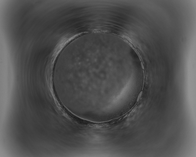 X0000088230241200705221830