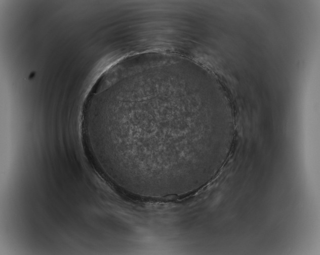 X0000088230242200705221830