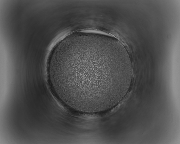 X0000088230245200705221830