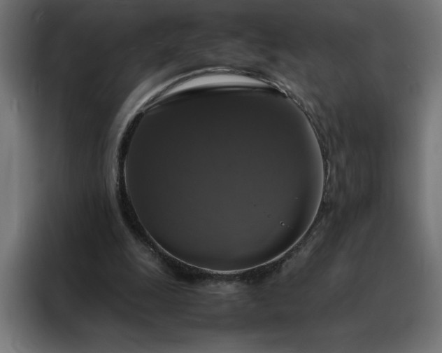 X0000088230247200705221830