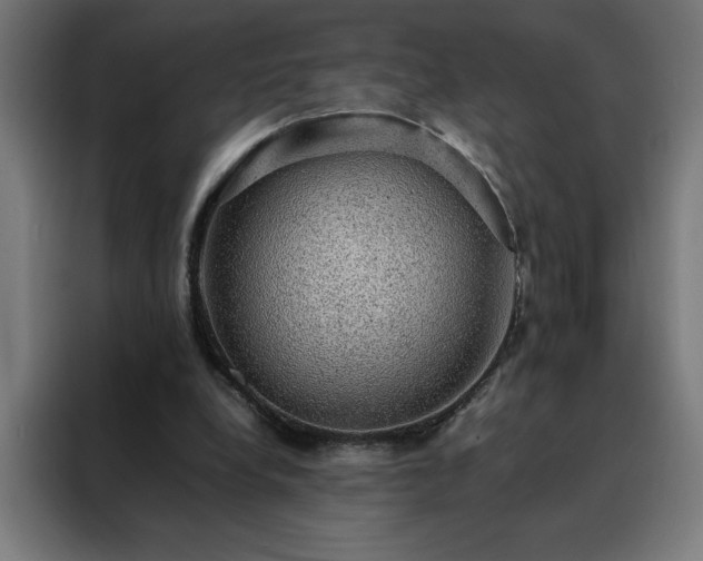 X0000088230248200705221830