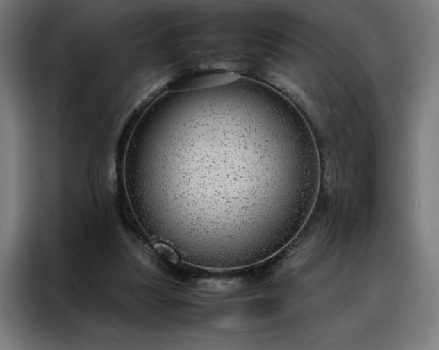 X0000088230251200705221830