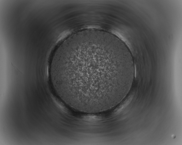 X0000088230253200705221830