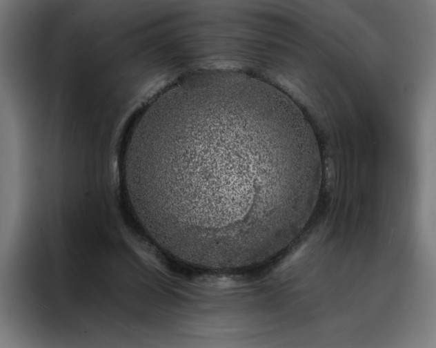 X0000088230254200705221831