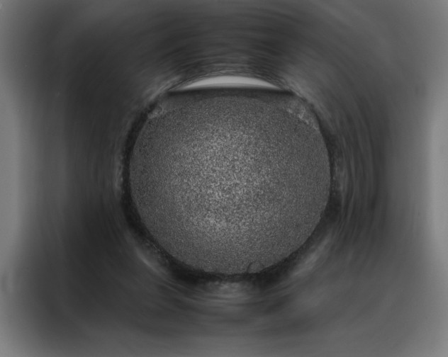 X0000088230255200705221831