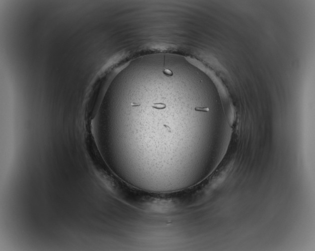 X0000088230256200705221831