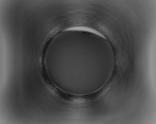 X0000088230258200705221831