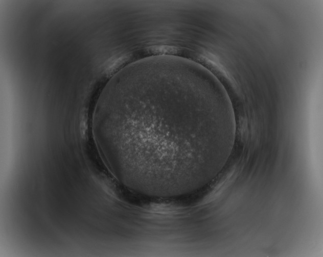 X0000088230259200705221831
